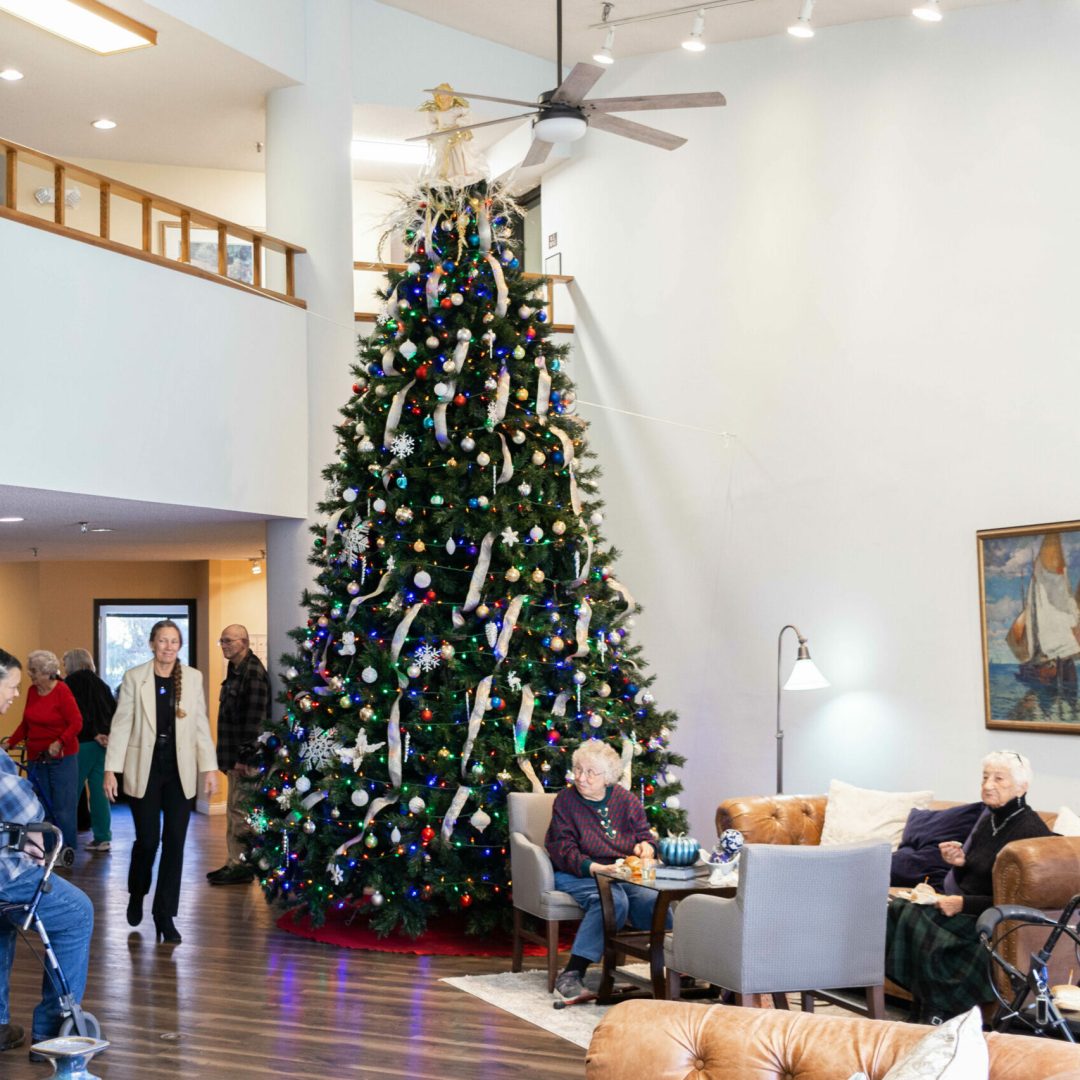 terrace-retirement-community-christmas-tree